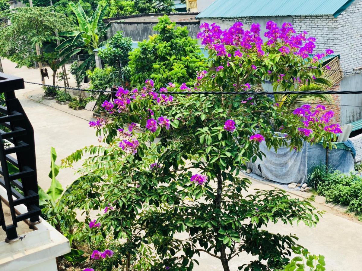 Ninh Binh Brother'S Homestay Zewnętrze zdjęcie