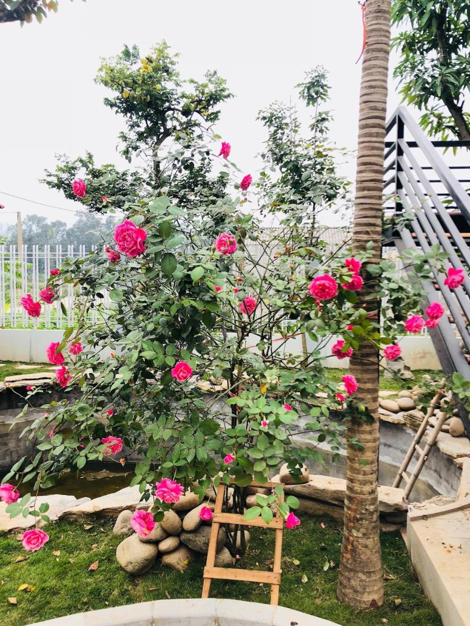Ninh Binh Brother'S Homestay Zewnętrze zdjęcie